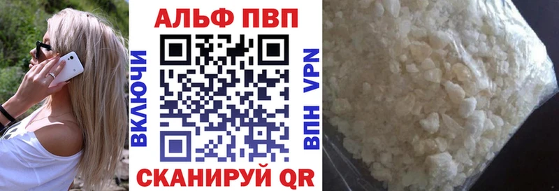 A PVP СК КРИС  Обь 