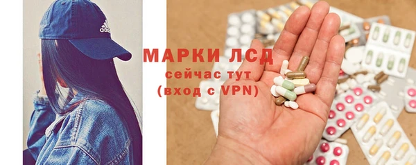 индика Богданович