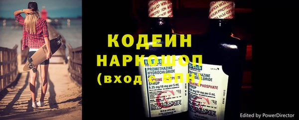 индика Богданович