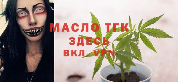 гидра Бородино