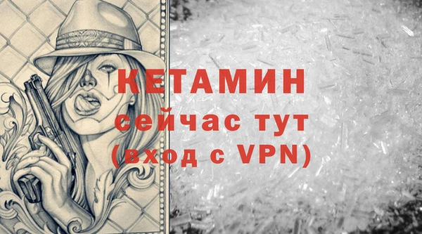 индика Богданович