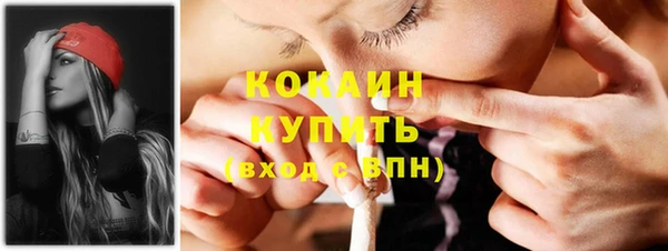 прущие грибы Богородицк