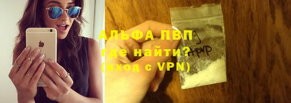 прущие грибы Богородицк