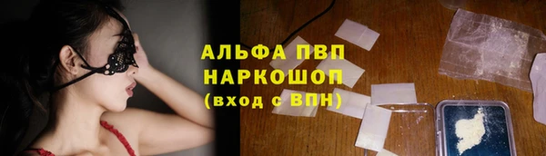 индика Богданович