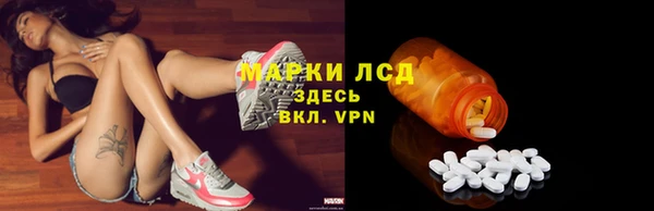 гидра Бородино