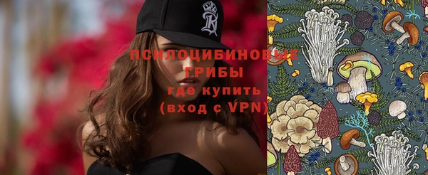прущие грибы Богородицк
