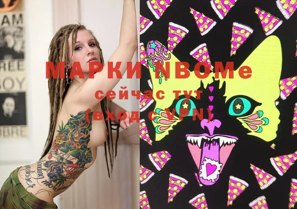 индика Богданович