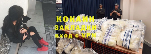 индика Богданович