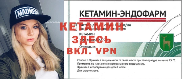 прущие грибы Богородицк