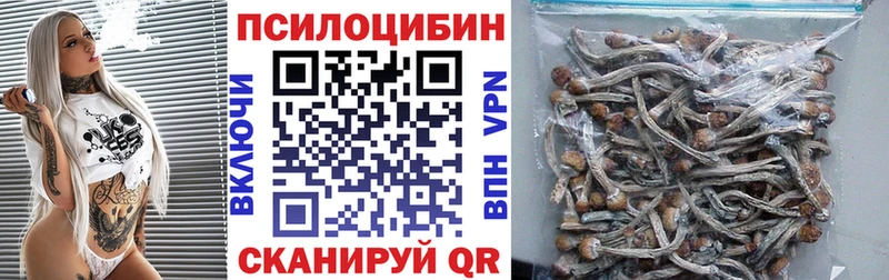 Галлюциногенные грибы прущие грибы  KRAKEN ТОР  Обь 